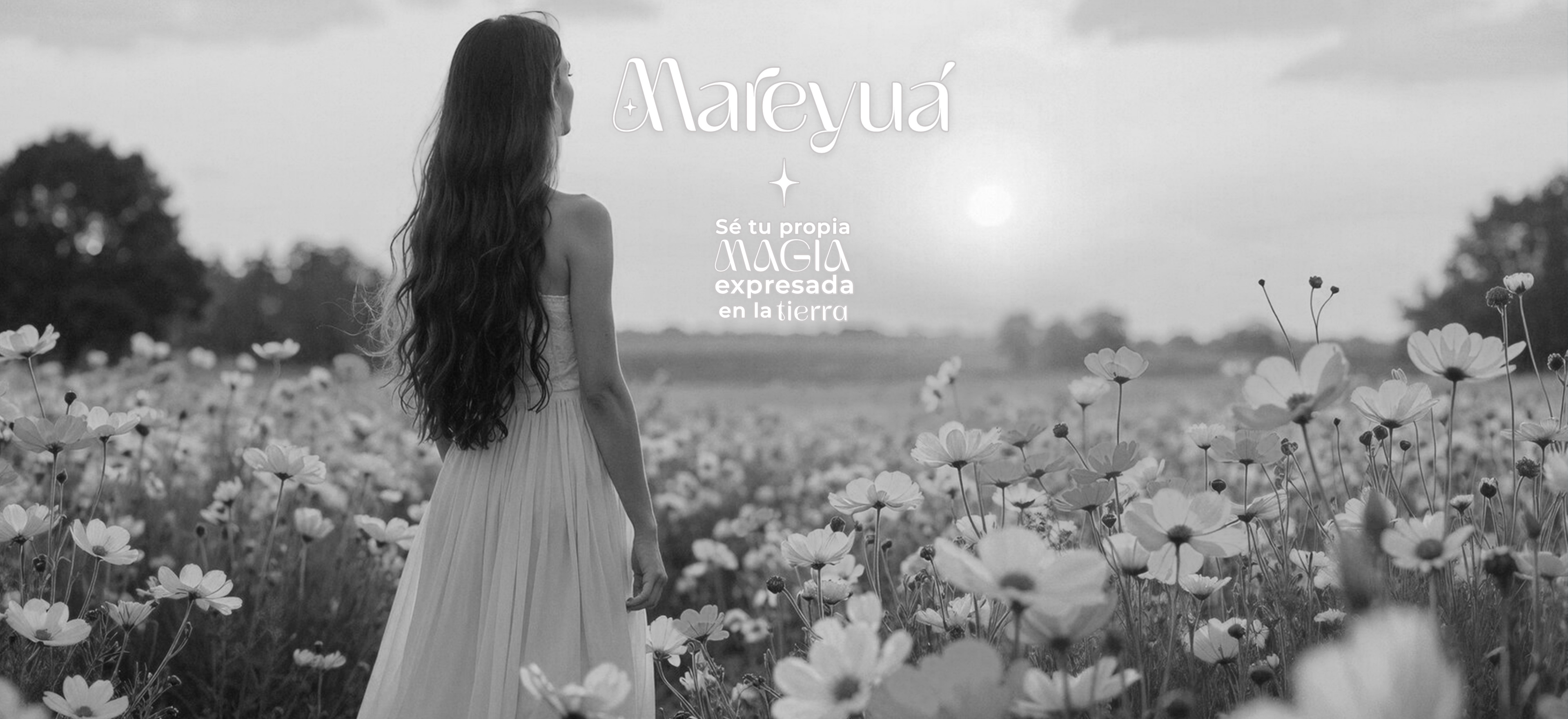 Dashboard Light Mode